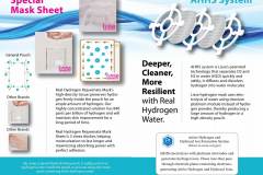 Lisse-booklet-7-spreads5