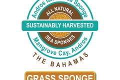 AndrosIslandGrassTan