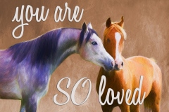 SoLoved
