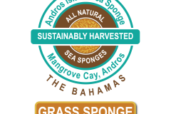 Andros Island Grass Tan