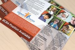 Flyer-Summit