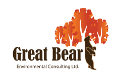 GreatBear1-01
